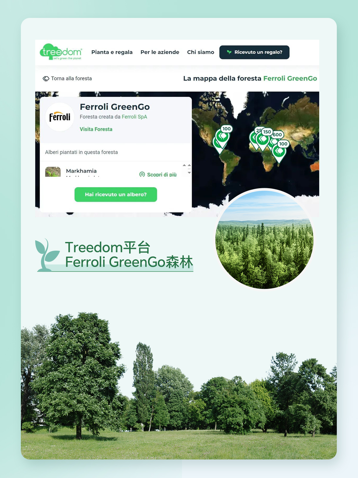 中国·122cc太阳成(集团)有限公司-官方网站